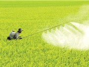 Nghiên cứu mới về lạm dụng thuốc trừ sâu ở Đồng bằng sông Cửu Long 